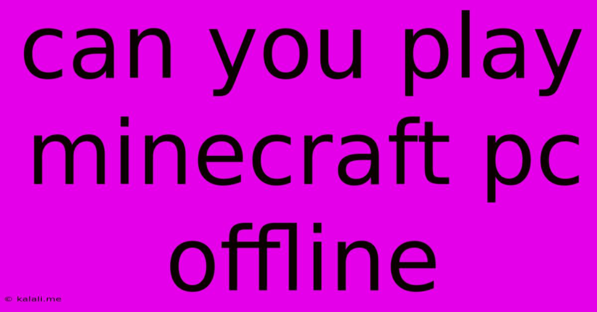 Can You Play Minecraft Pc Offline