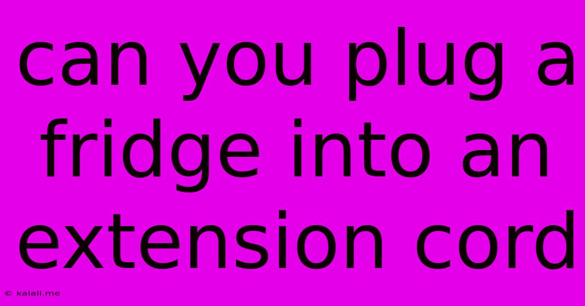 Can You Plug A Fridge Into An Extension Cord