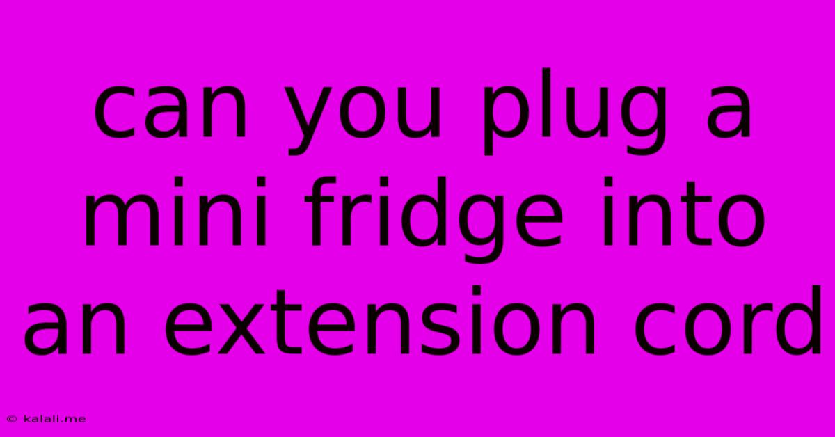 Can You Plug A Mini Fridge Into An Extension Cord
