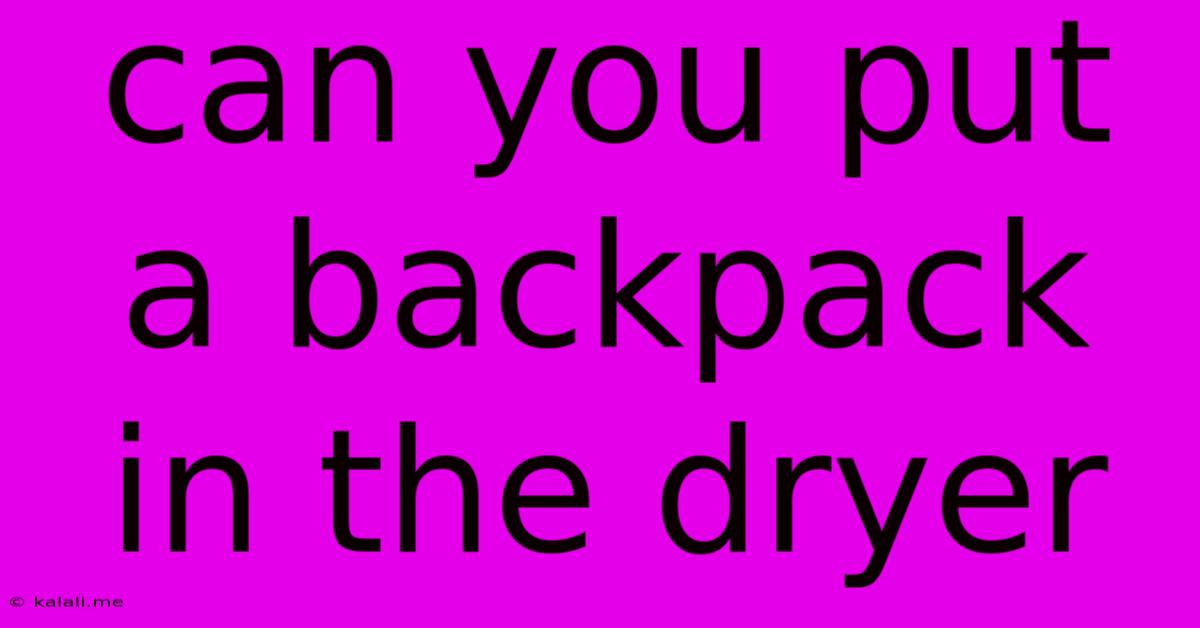 Can You Put A Backpack In The Dryer