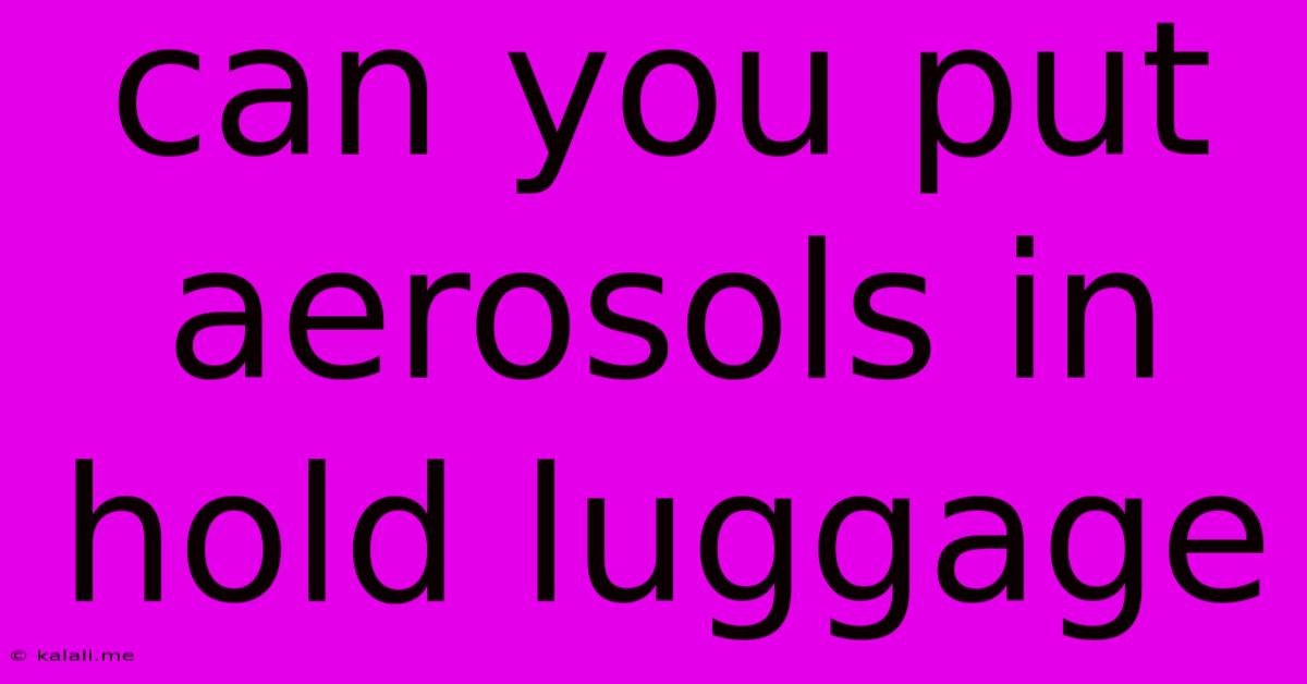 Can You Put Aerosols In Hold Luggage