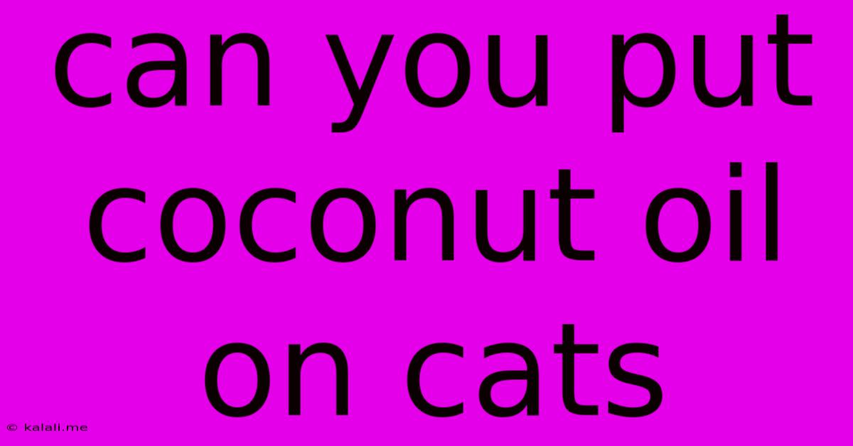 Can You Put Coconut Oil On Cats