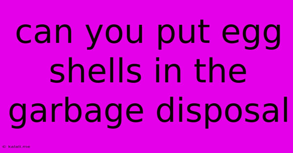 Can You Put Egg Shells In The Garbage Disposal