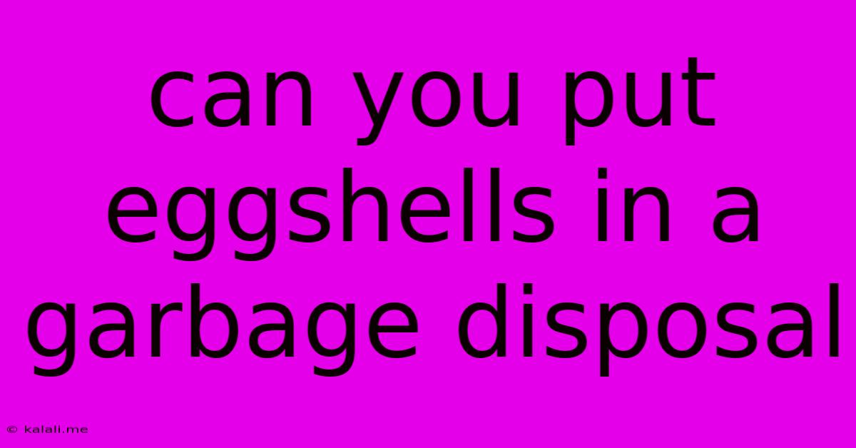 Can You Put Eggshells In A Garbage Disposal