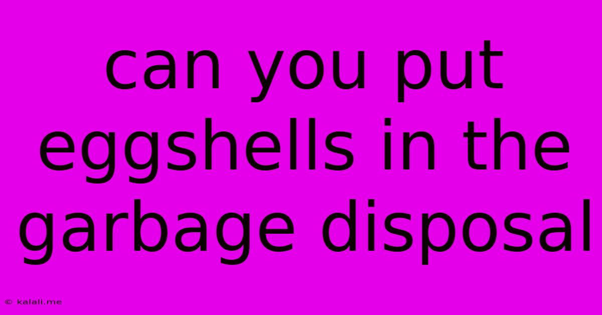 Can You Put Eggshells In The Garbage Disposal