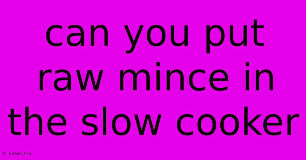 Can You Put Raw Mince In The Slow Cooker