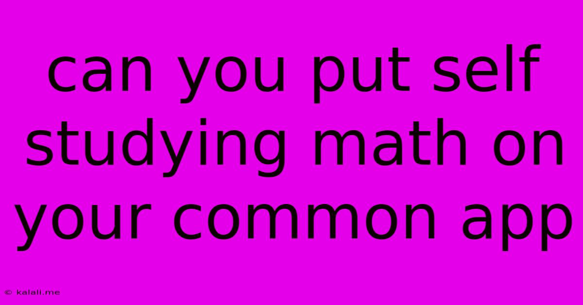 Can You Put Self Studying Math On Your Common App