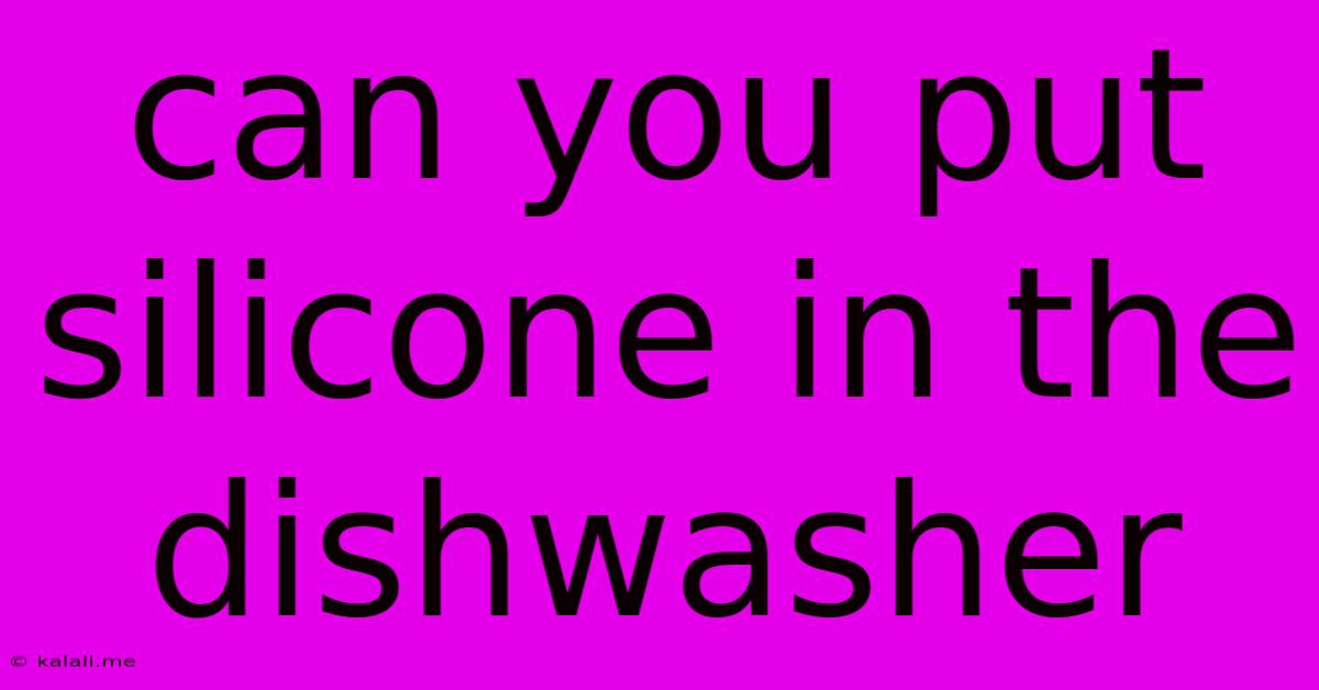 Can You Put Silicone In The Dishwasher