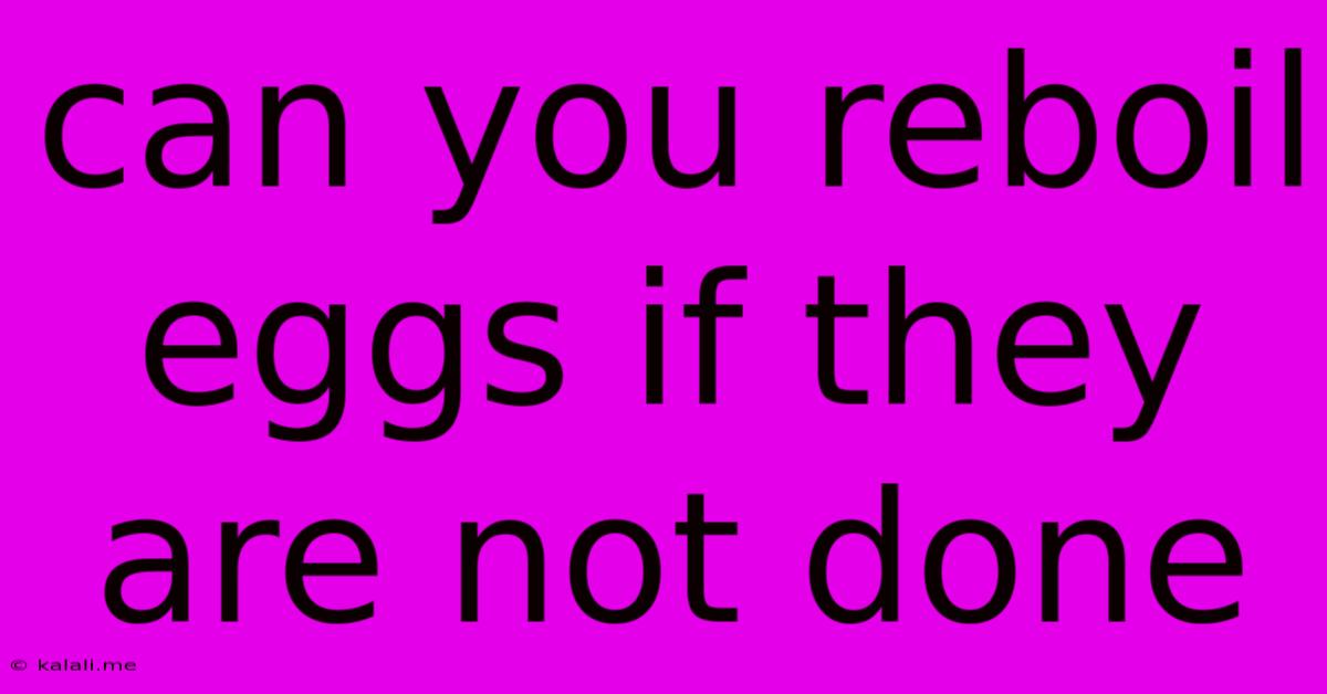 Can You Reboil Eggs If They Are Not Done