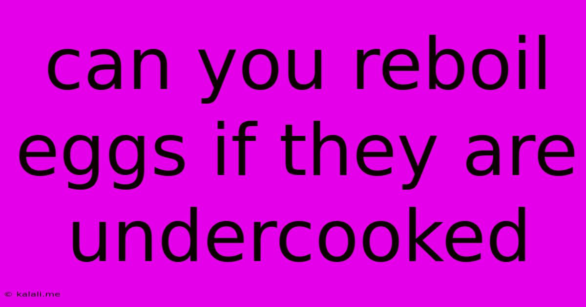 Can You Reboil Eggs If They Are Undercooked