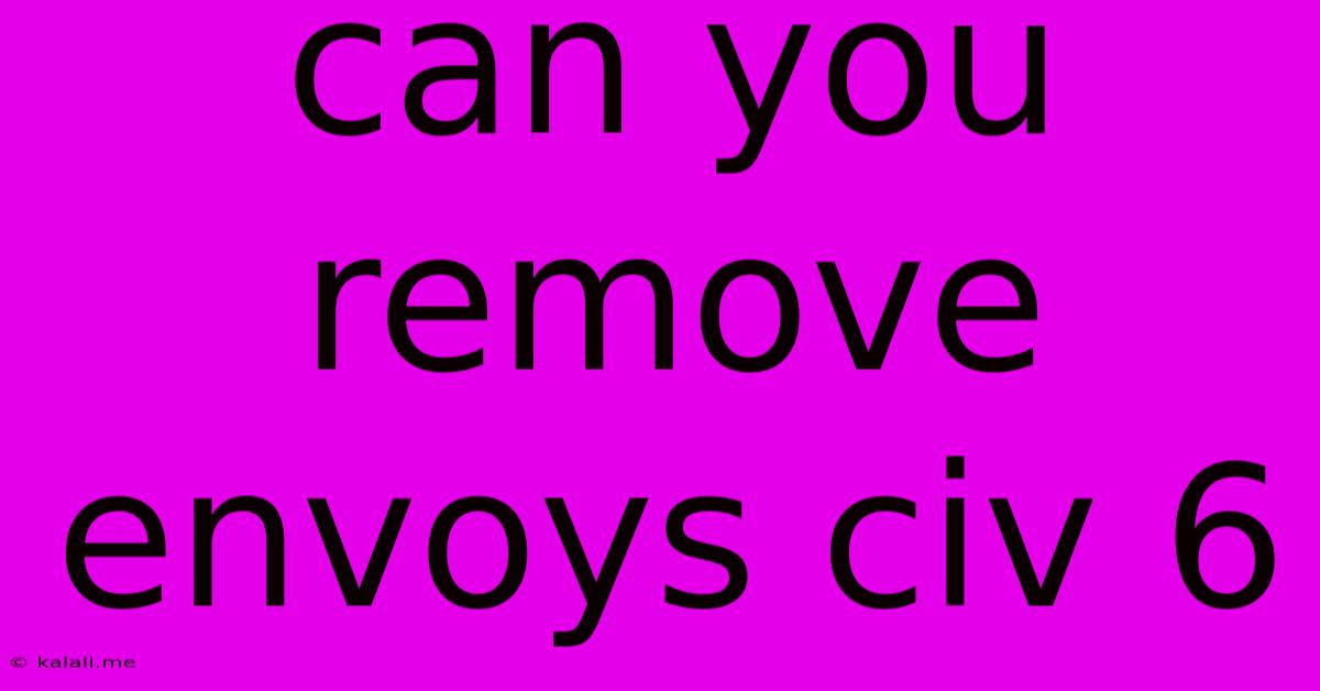 Can You Remove Envoys Civ 6