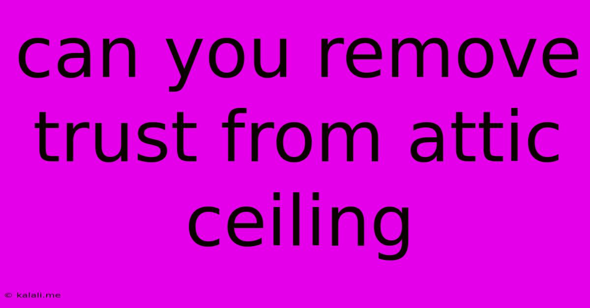 Can You Remove Trust From Attic Ceiling