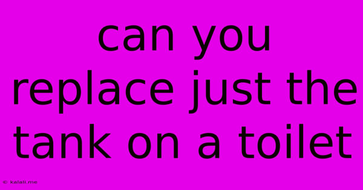 Can You Replace Just The Tank On A Toilet
