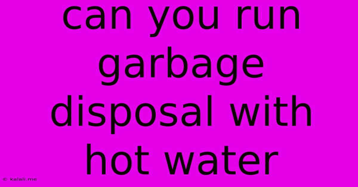 Can You Run Garbage Disposal With Hot Water