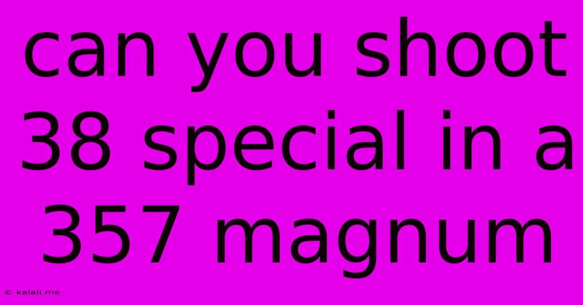 Can You Shoot 38 Special In A 357 Magnum
