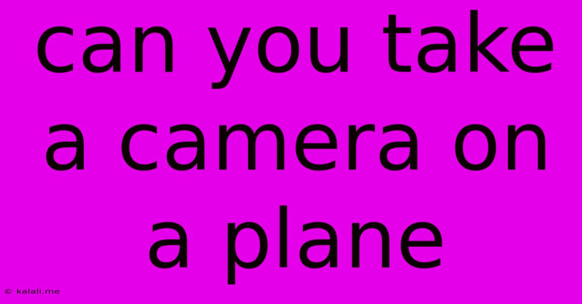 Can You Take A Camera On A Plane