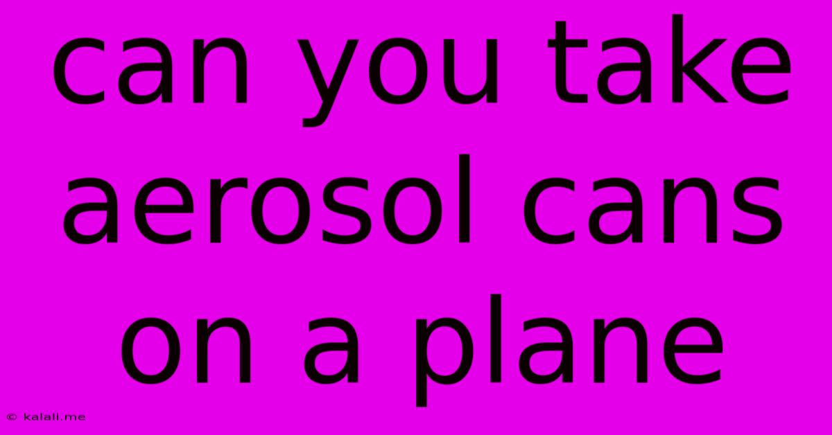 Can You Take Aerosol Cans On A Plane