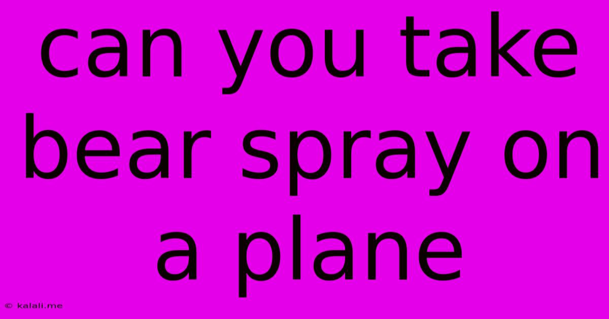Can You Take Bear Spray On A Plane
