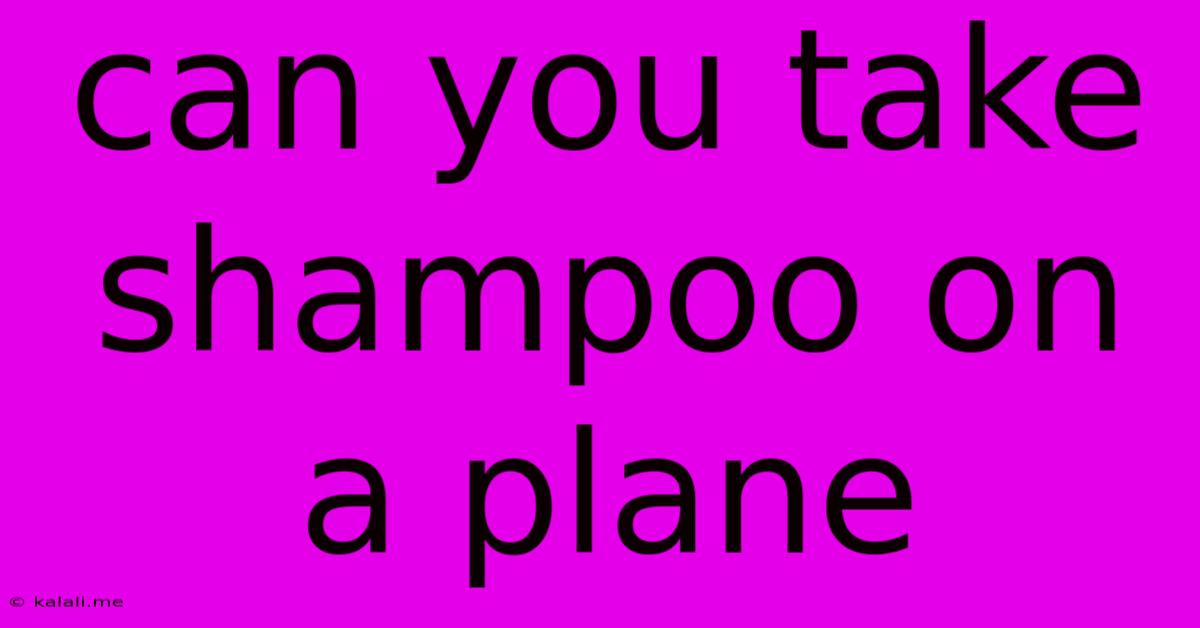 Can You Take Shampoo On A Plane