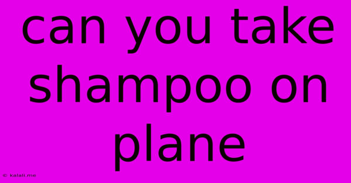 Can You Take Shampoo On Plane