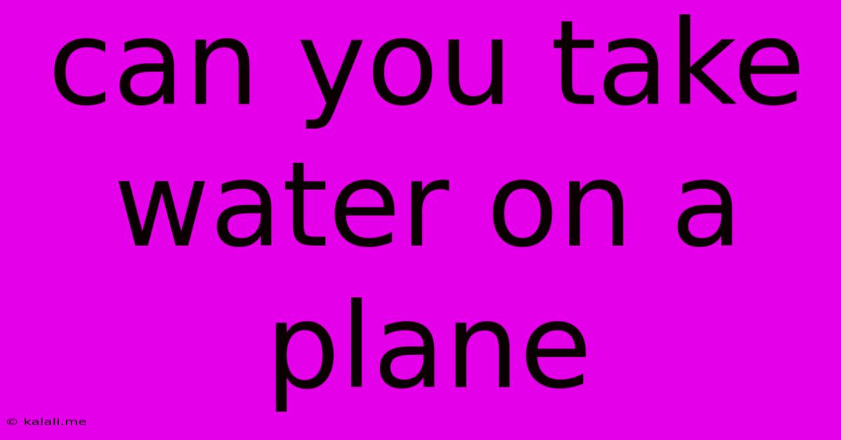Can You Take Water On A Plane