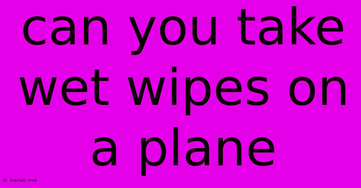 Can You Take Wet Wipes On A Plane