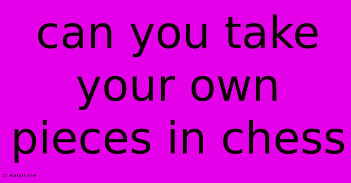Can You Take Your Own Pieces In Chess