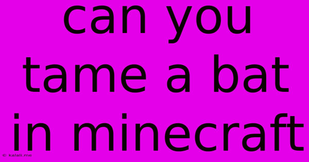 Can You Tame A Bat In Minecraft