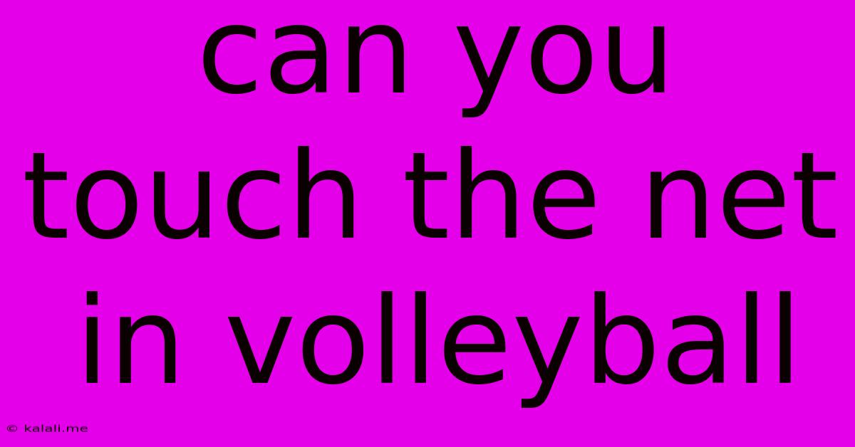 Can You Touch The Net In Volleyball