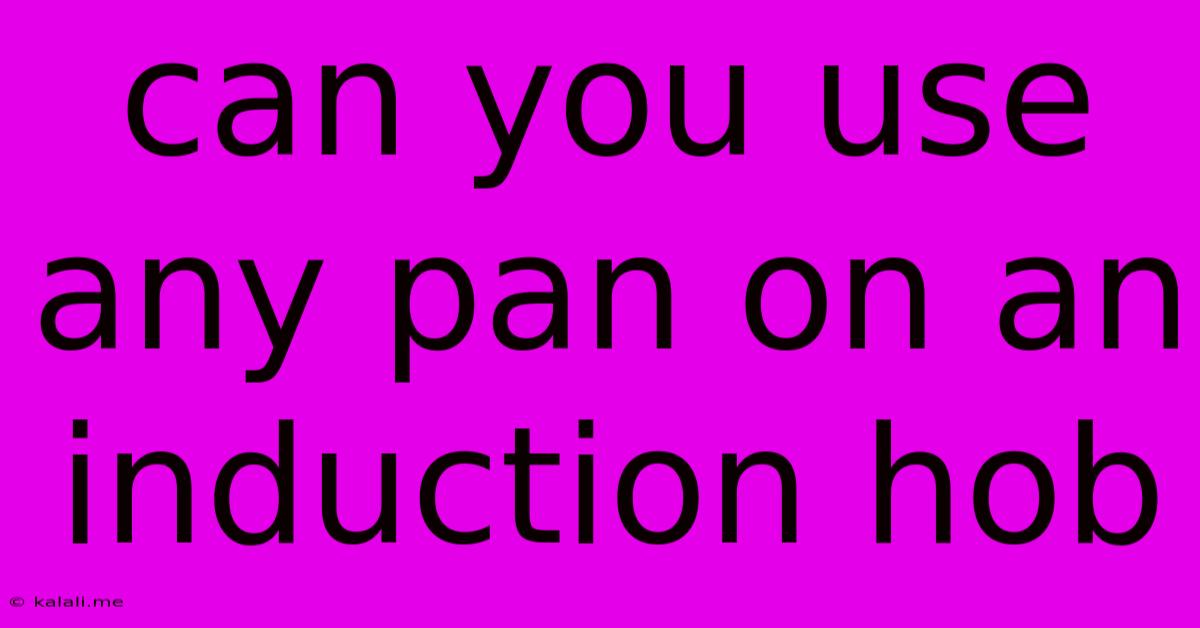 Can You Use Any Pan On An Induction Hob