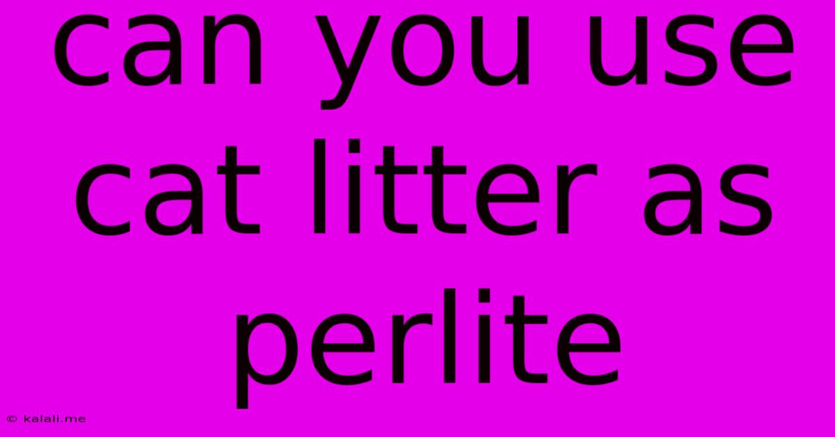 Can You Use Cat Litter As Perlite