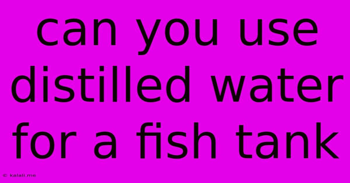 Can You Use Distilled Water For A Fish Tank