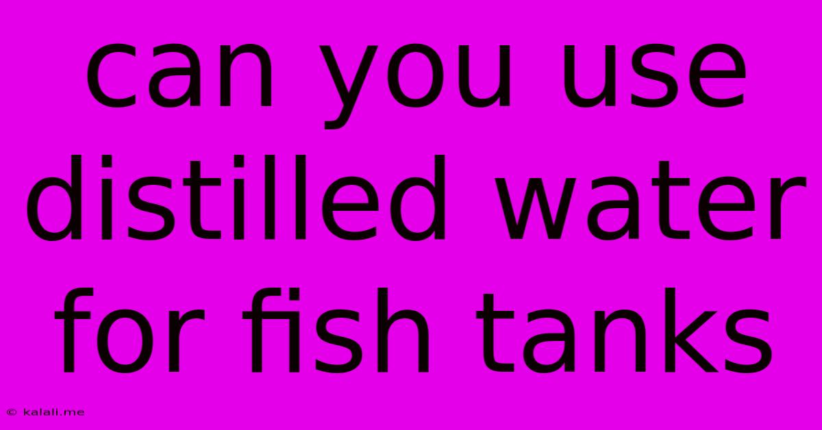 Can You Use Distilled Water For Fish Tanks
