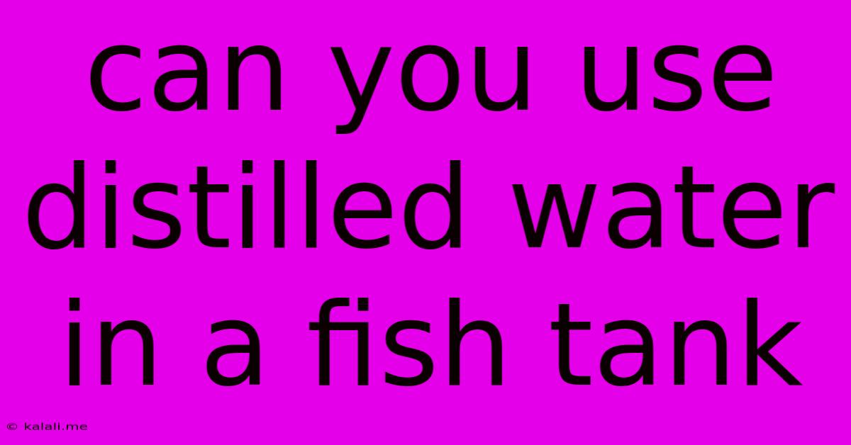 Can You Use Distilled Water In A Fish Tank