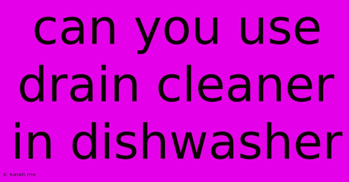 Can You Use Drain Cleaner In Dishwasher