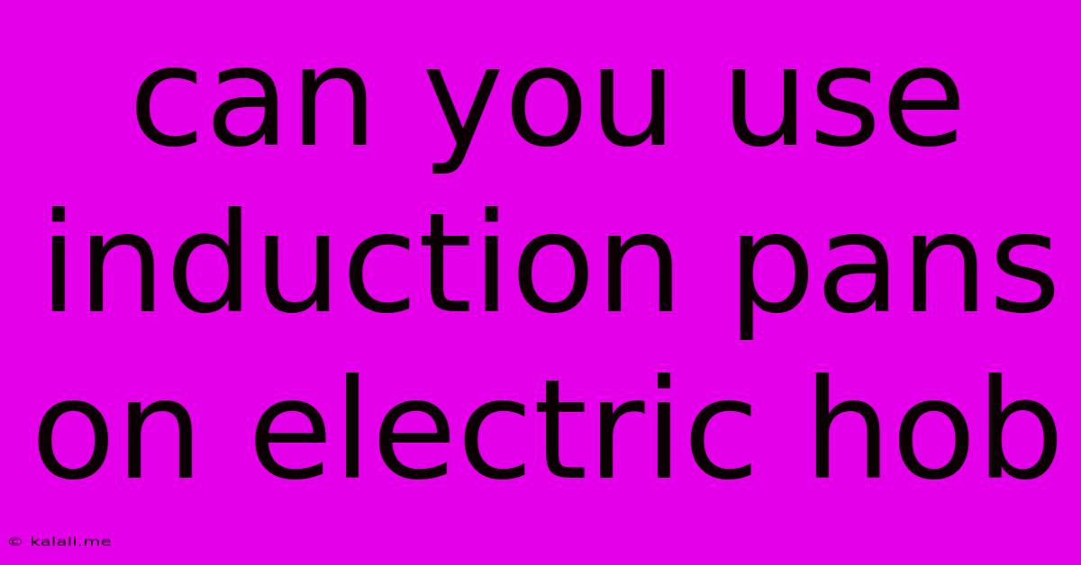 Can You Use Induction Pans On Electric Hob