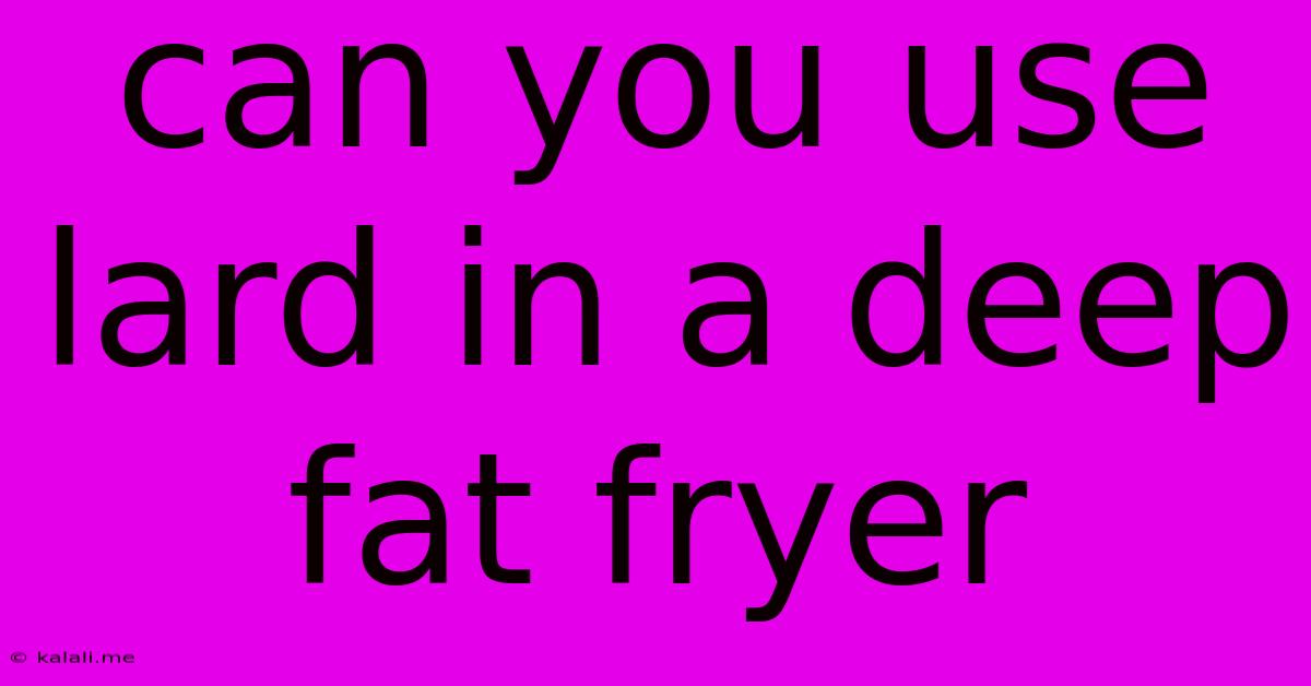 Can You Use Lard In A Deep Fat Fryer