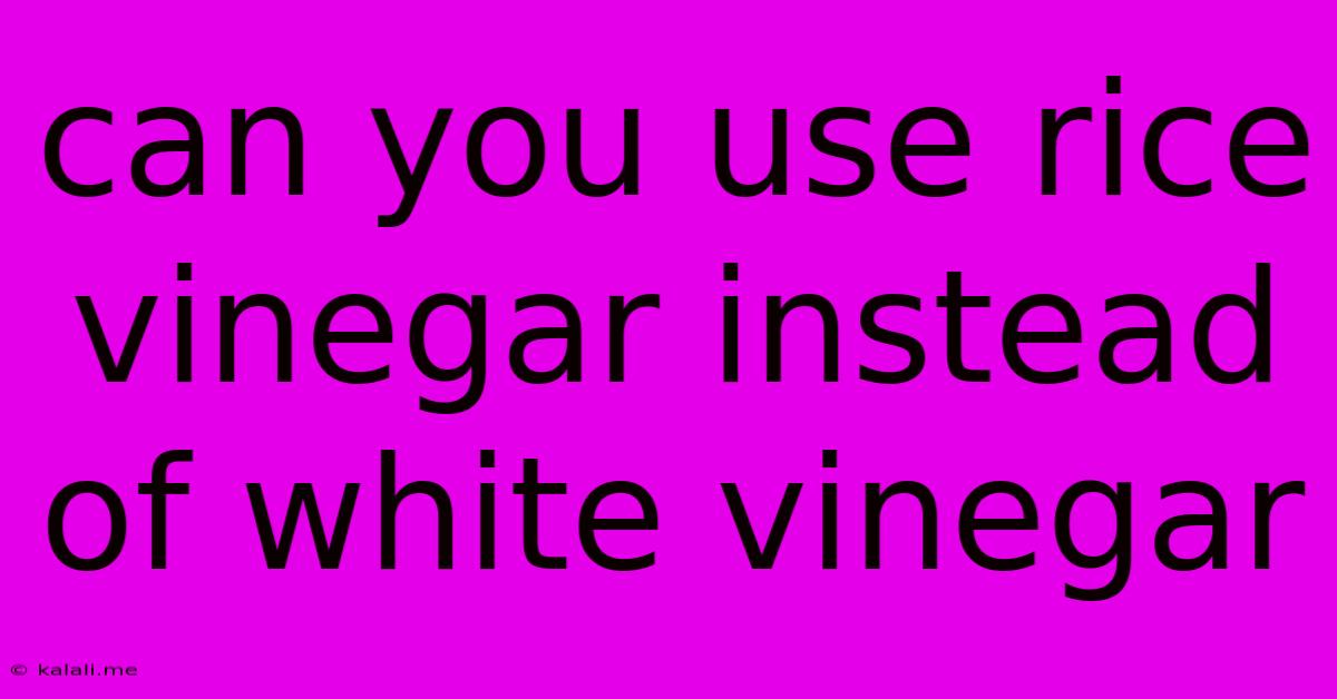 Can You Use Rice Vinegar Instead Of White Vinegar