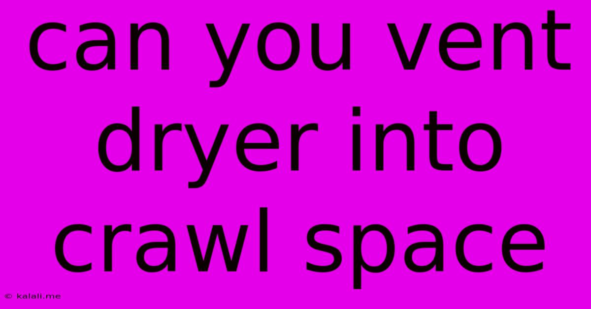 Can You Vent Dryer Into Crawl Space