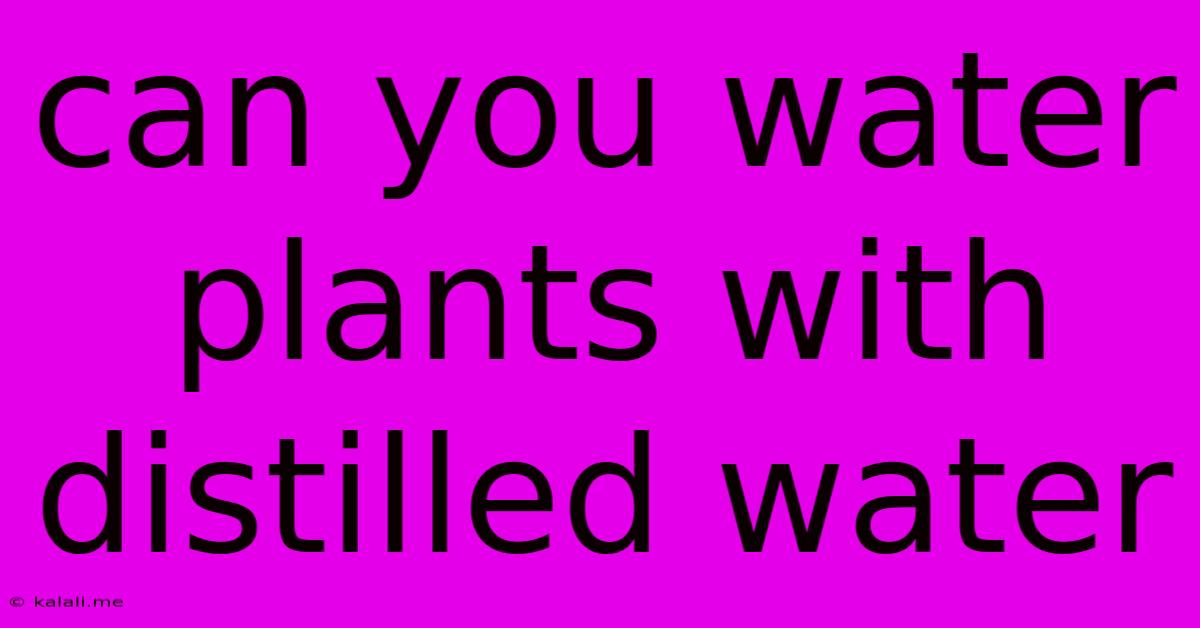 Can You Water Plants With Distilled Water