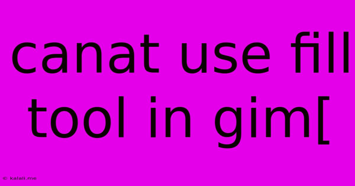 Canat Use Fill Tool In Gim[