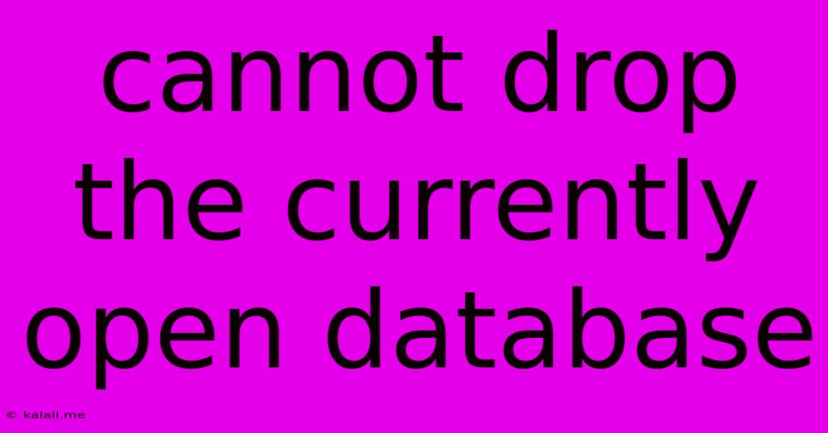 Cannot Drop The Currently Open Database