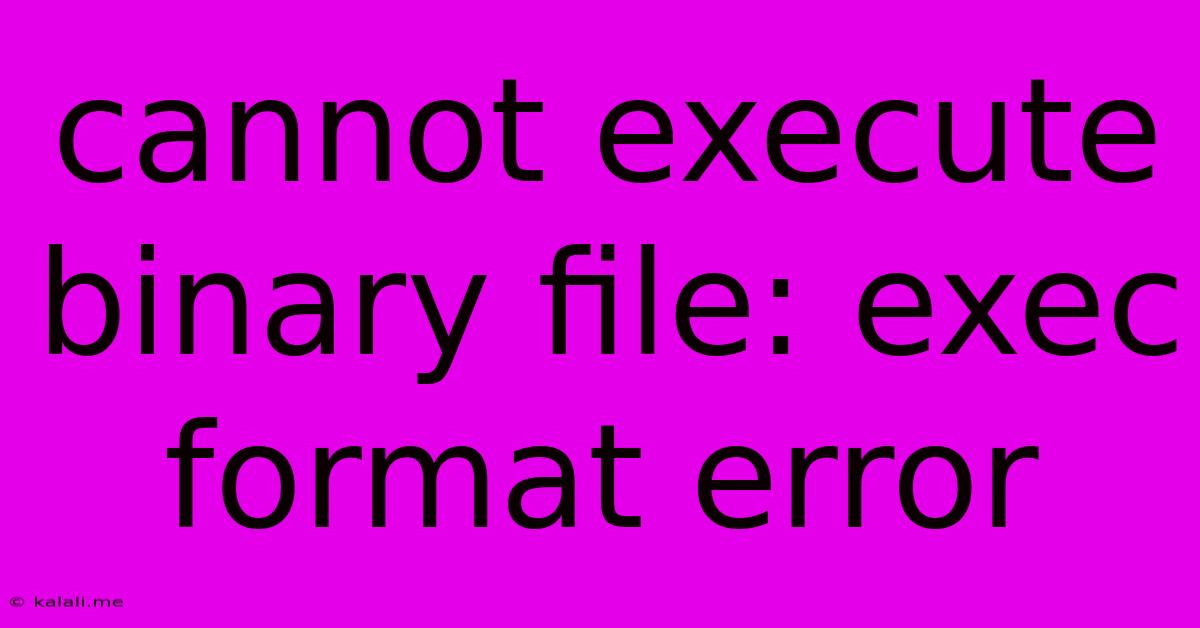 Cannot Execute Binary File: Exec Format Error
