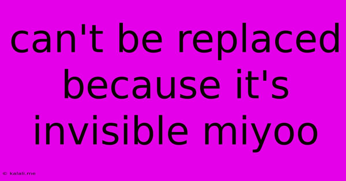 Can't Be Replaced Because It's Invisible Miyoo