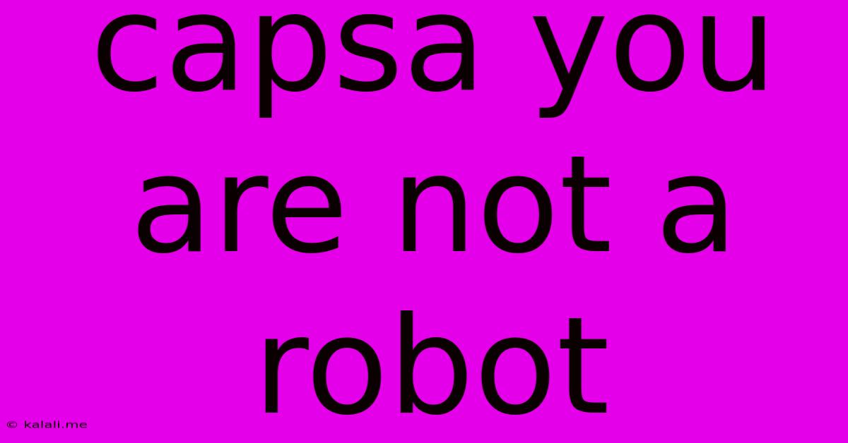 Capsa You Are Not A Robot