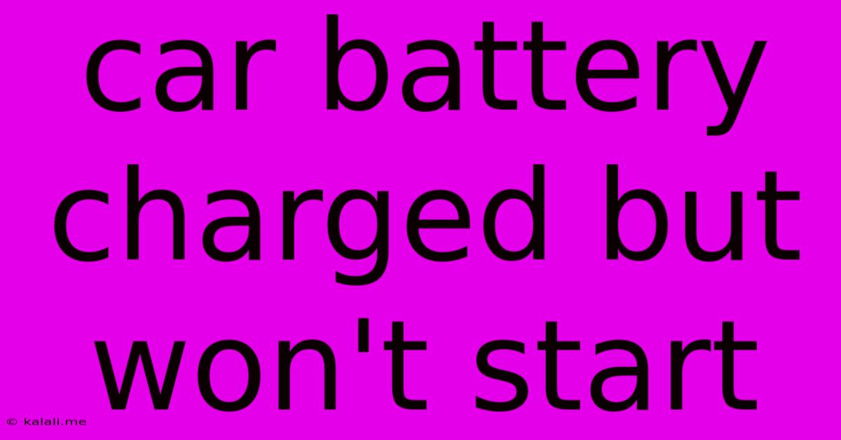 Car Battery Charged But Won't Start