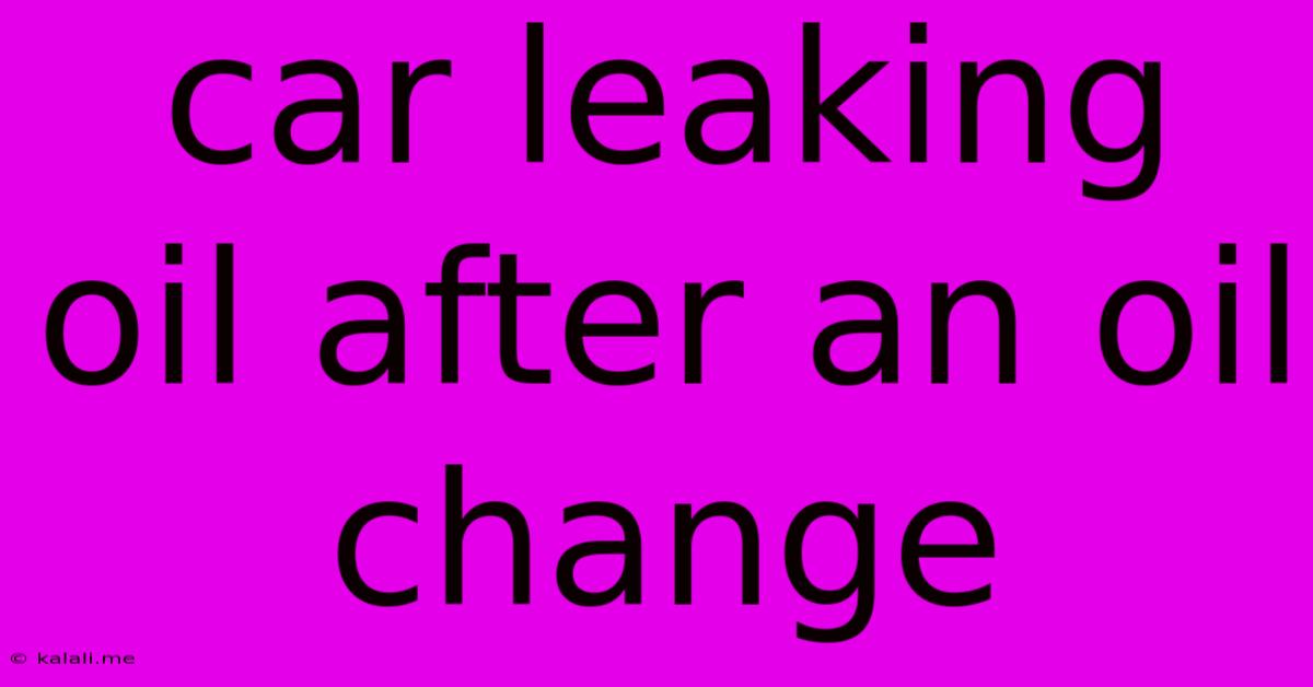 Car Leaking Oil After An Oil Change
