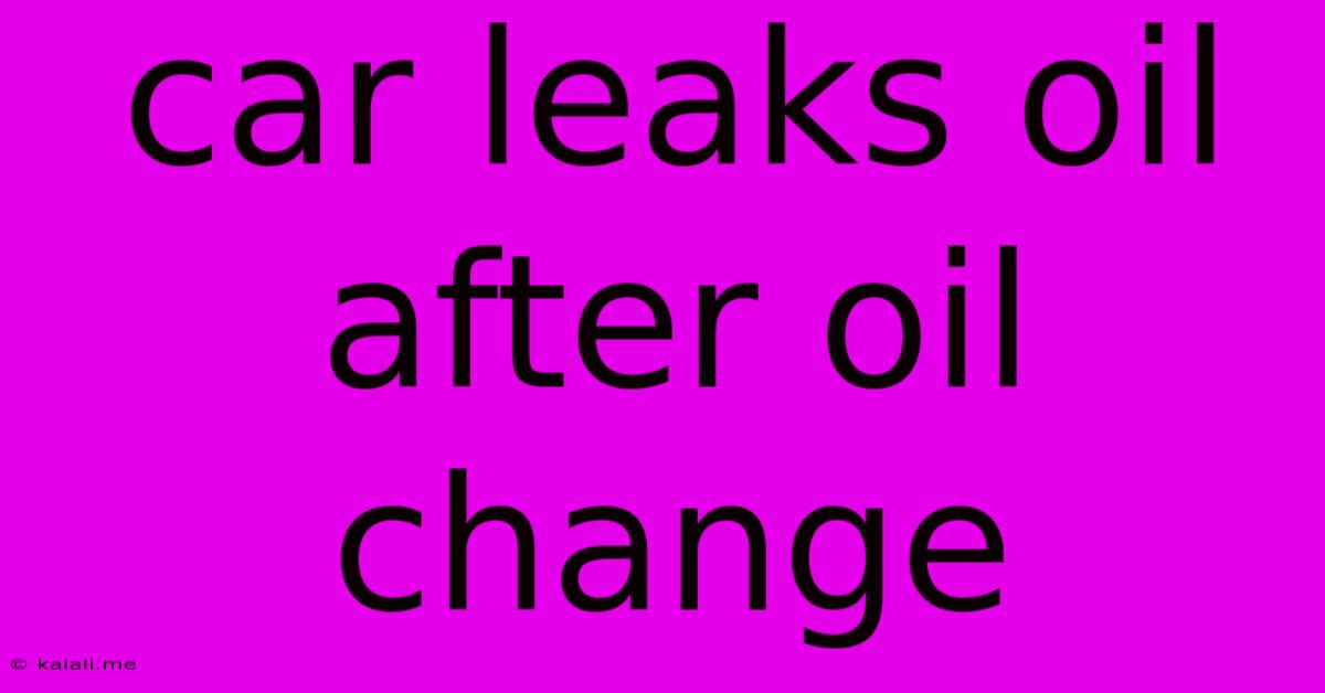 Car Leaks Oil After Oil Change
