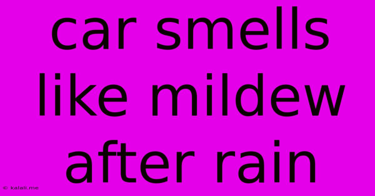 Car Smells Like Mildew After Rain