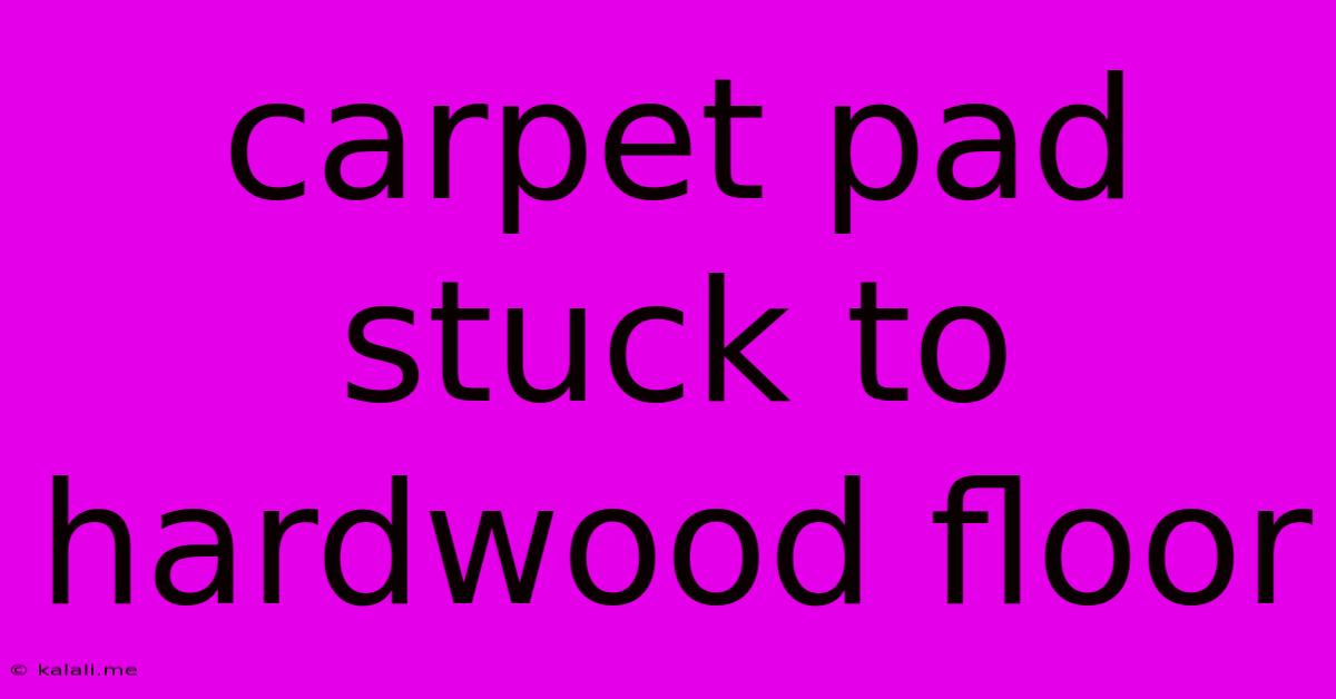 Carpet Pad Stuck To Hardwood Floor